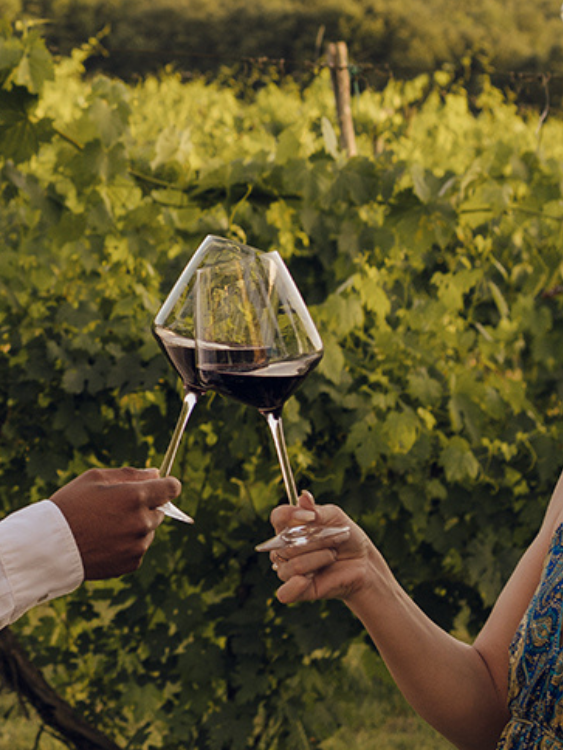 Ristorante Monteriggioni | Dama nella vigna