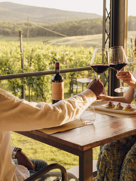 Ristorante Monteriggioni | Dama nella vigna