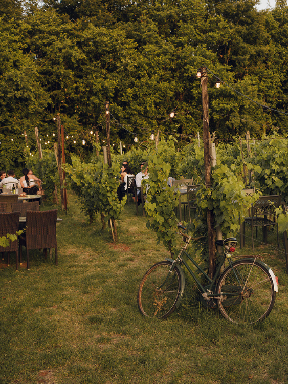 Ristorante Monteriggioni | Dama nella vigna